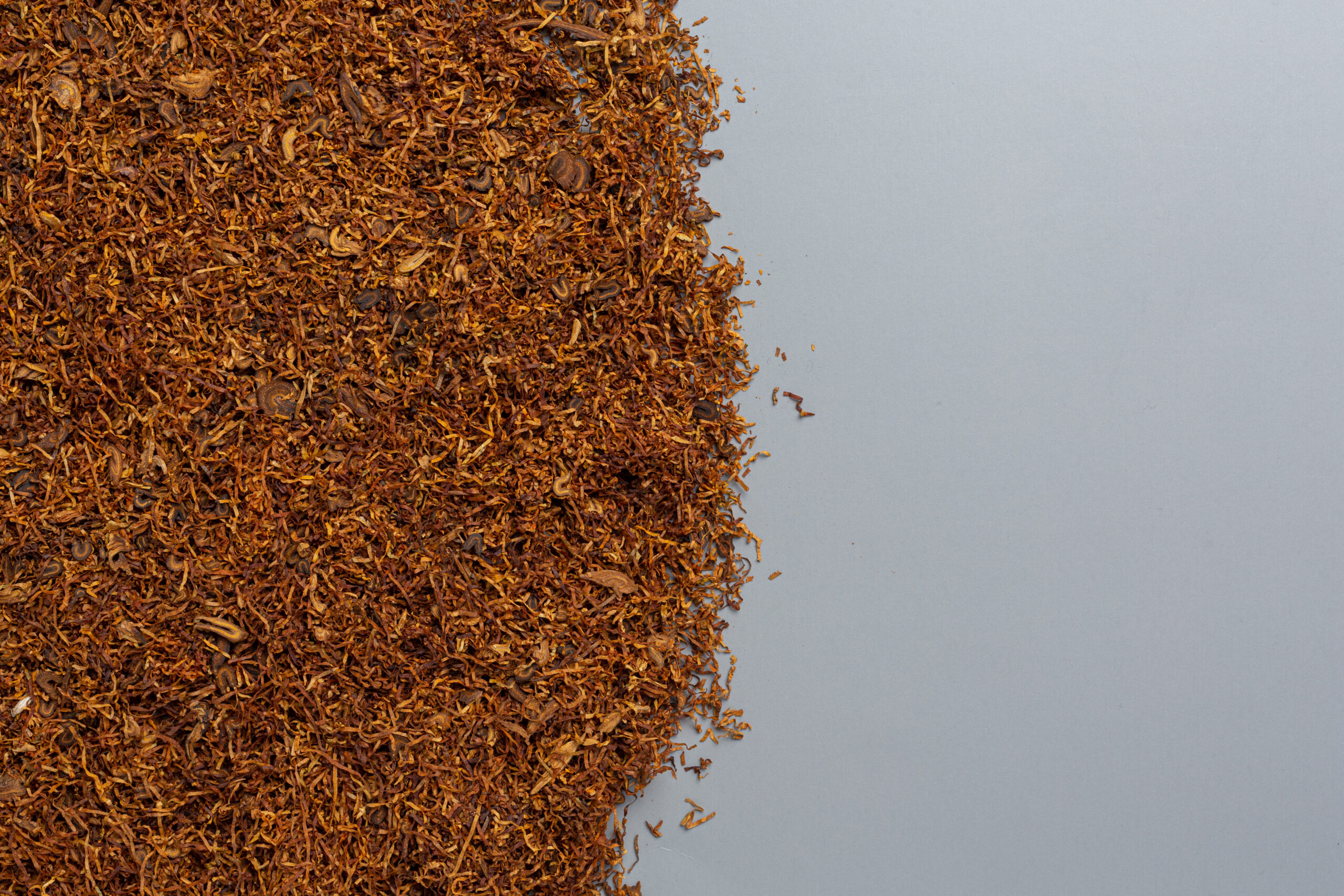 cigarette on the dark background.World no Tobacco day concept.